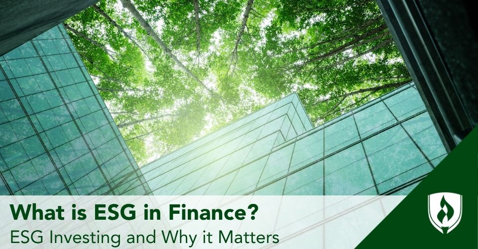 ESG header Glass windows of an office building with trees overhead