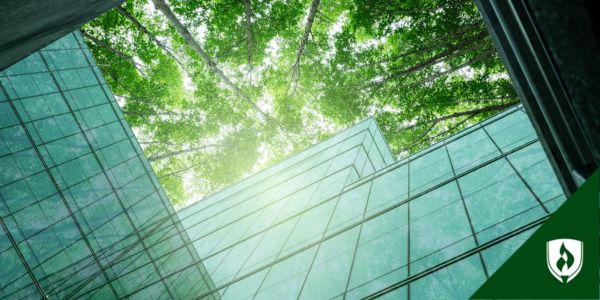 Glass windows of an office building with trees overhead