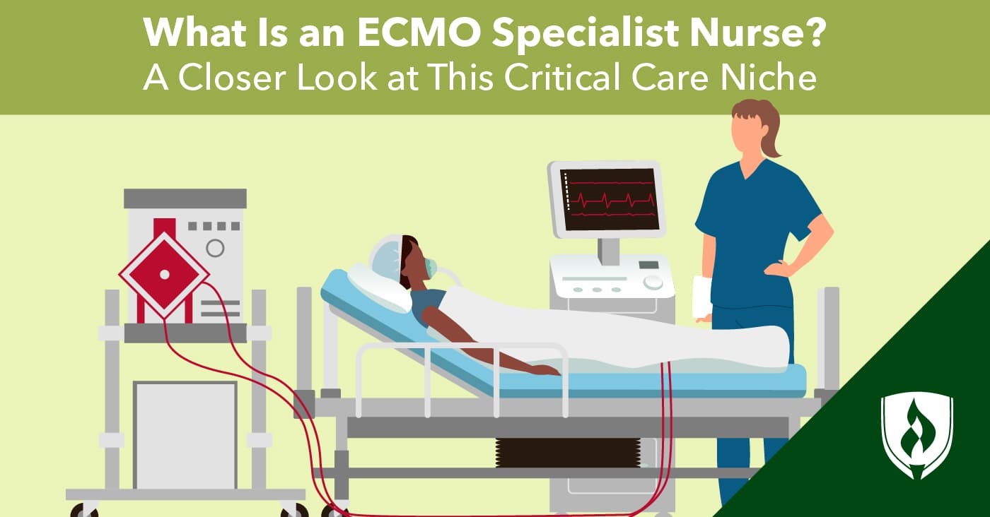 ilustration of an ecmo specialist nurse standing by the bedside of a patient on ecmo