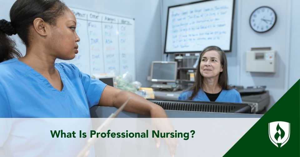 what is professional nursing