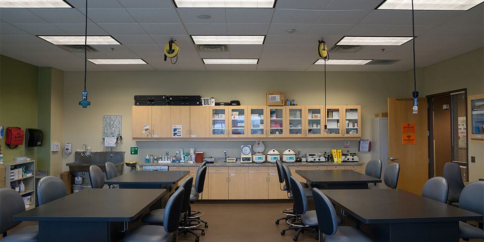 Nursing and Health Sciences lab at the Rasmussen University Moorhead campus.