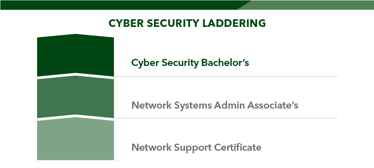 Cyber Security laddering graphic