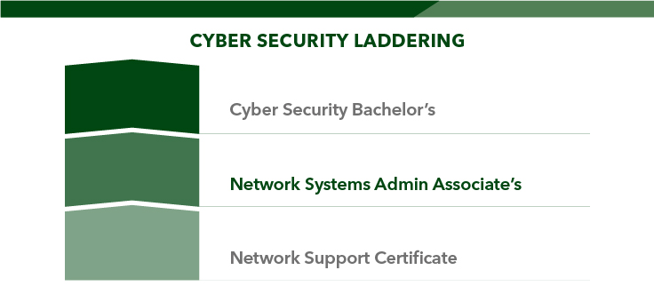 Cyber Security laddering graphic